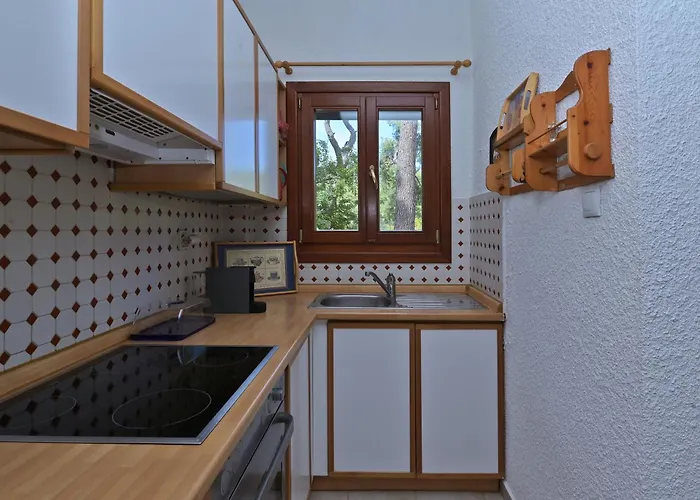 Sani Delight Sani (Chalkidiki)